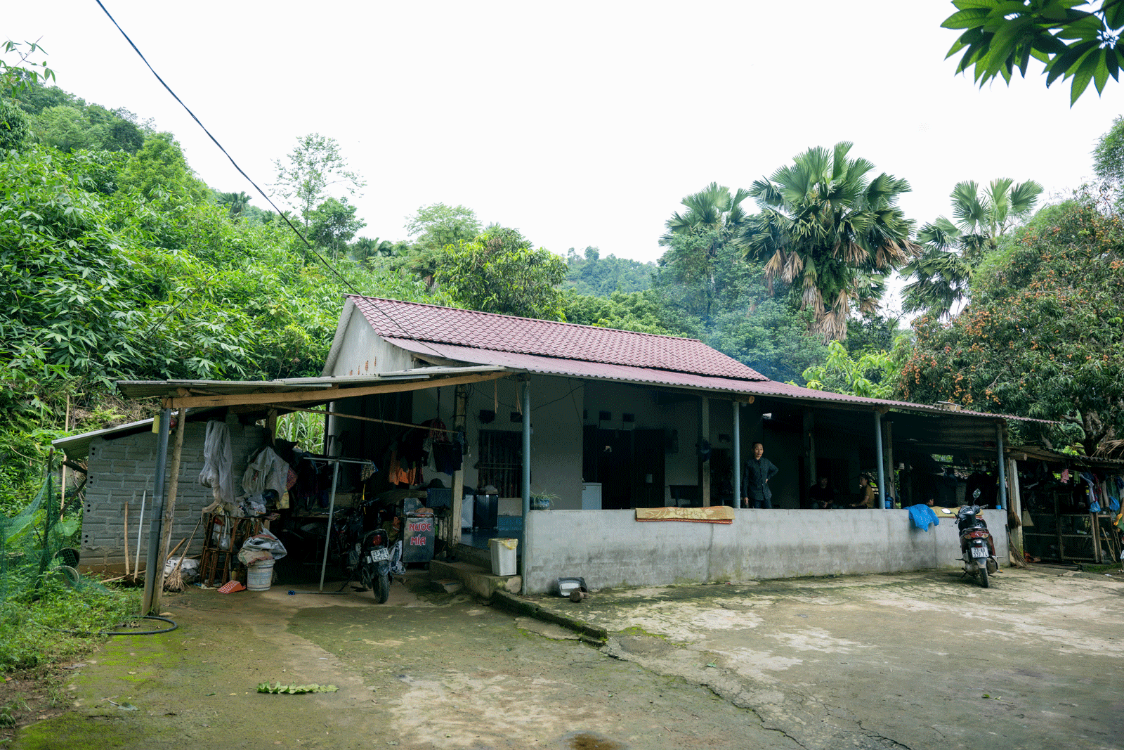 vn-2356346745748-1778481351.gif