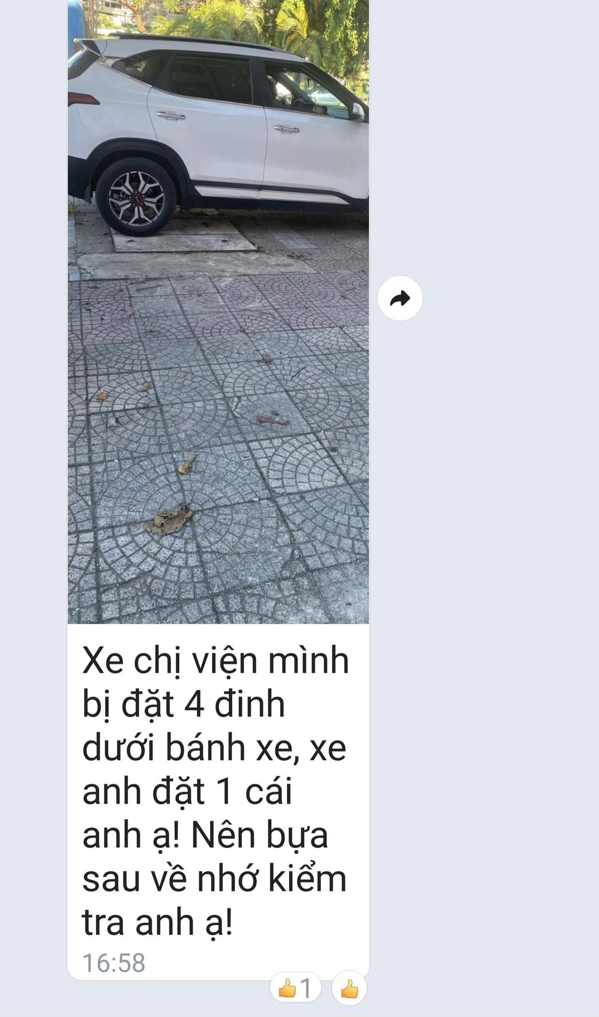 711686242-4178692452428064-6676194769492467264-n-1780543358.jpg