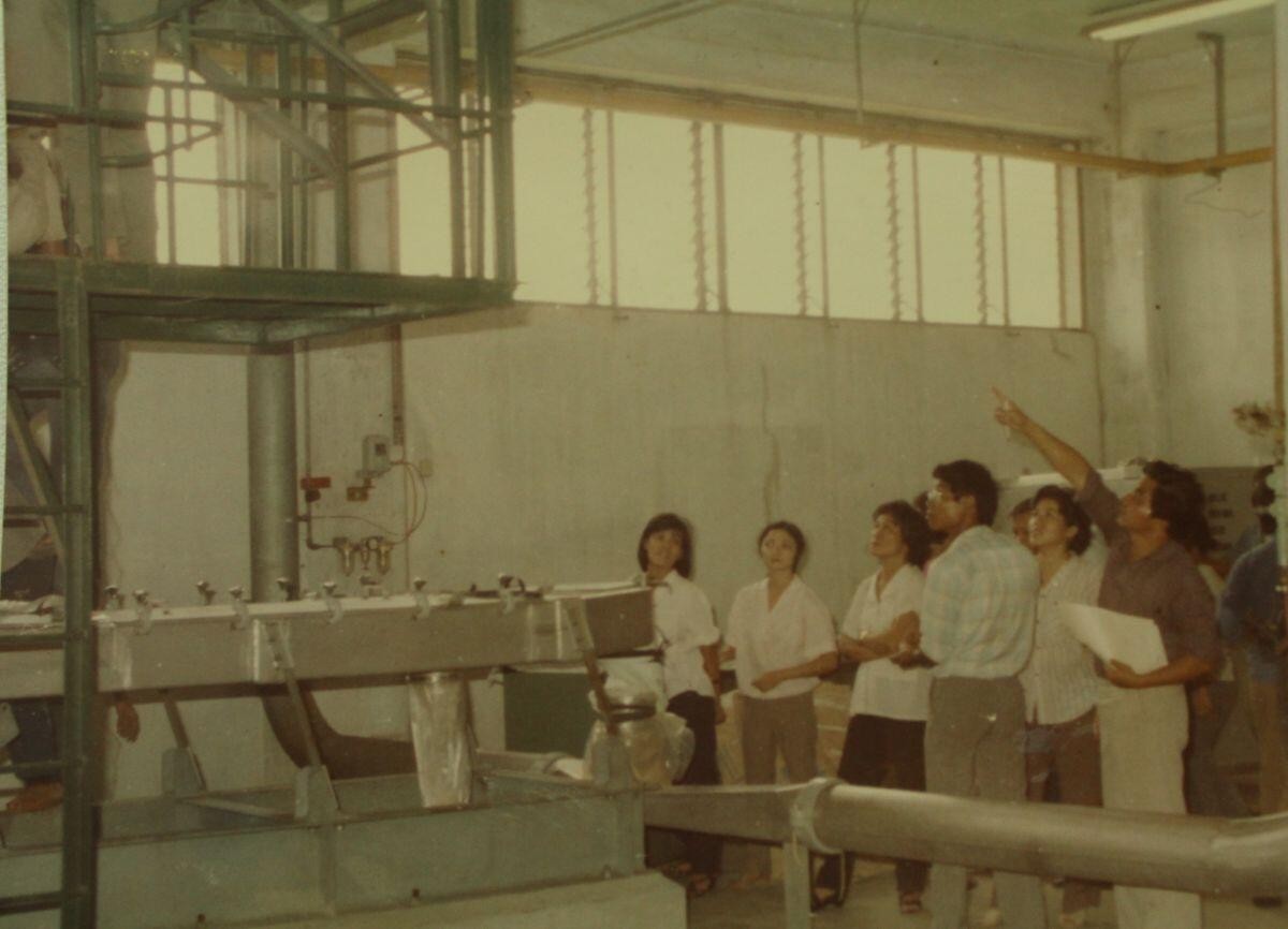 vnmf100-2-auto-crop-1791278436.jpg