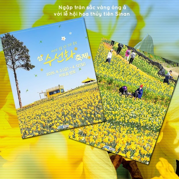 unnamed-1-1778034245.jpg