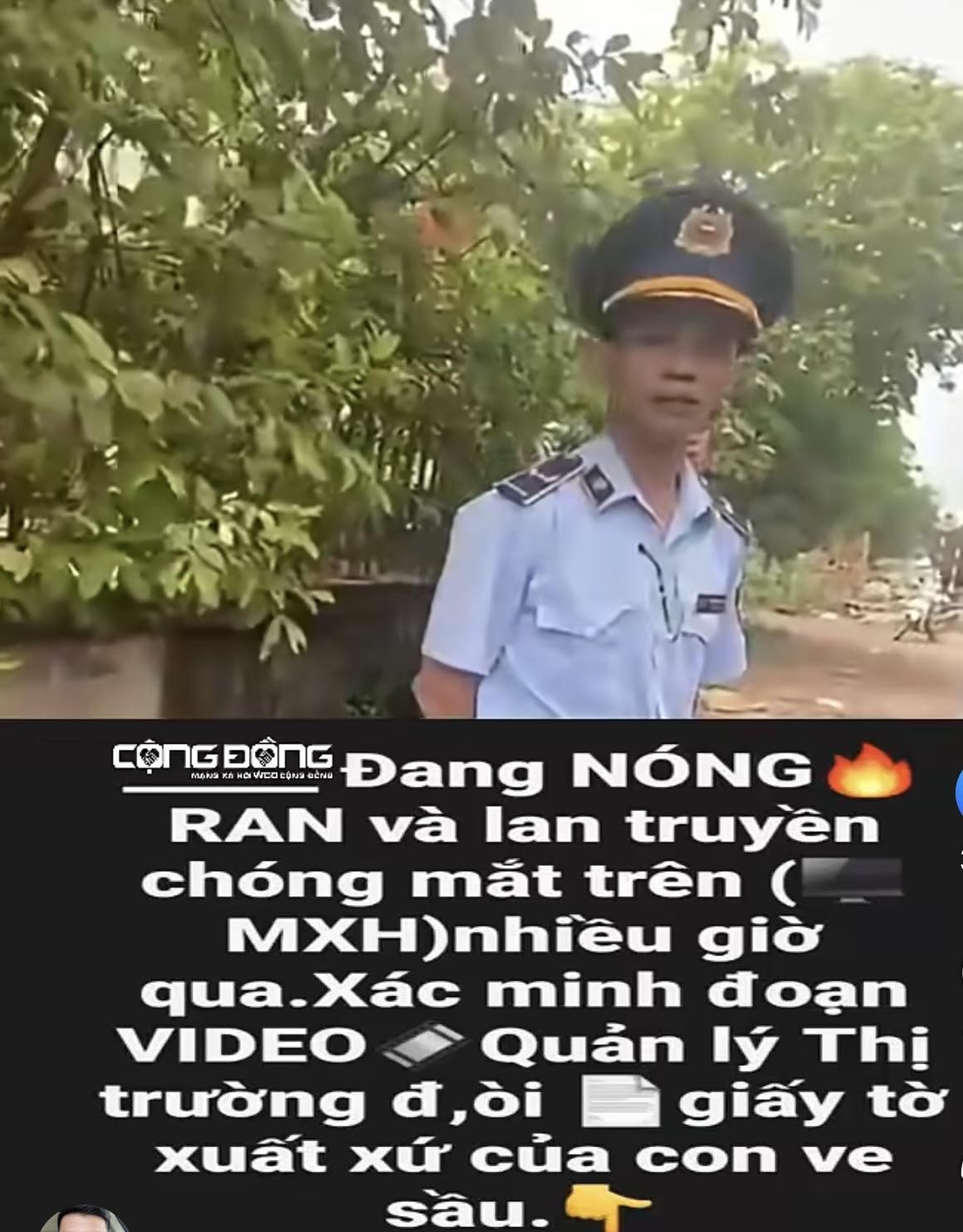 698799814-2103196426921440-1755914564260034088-n-1778474625.jpg