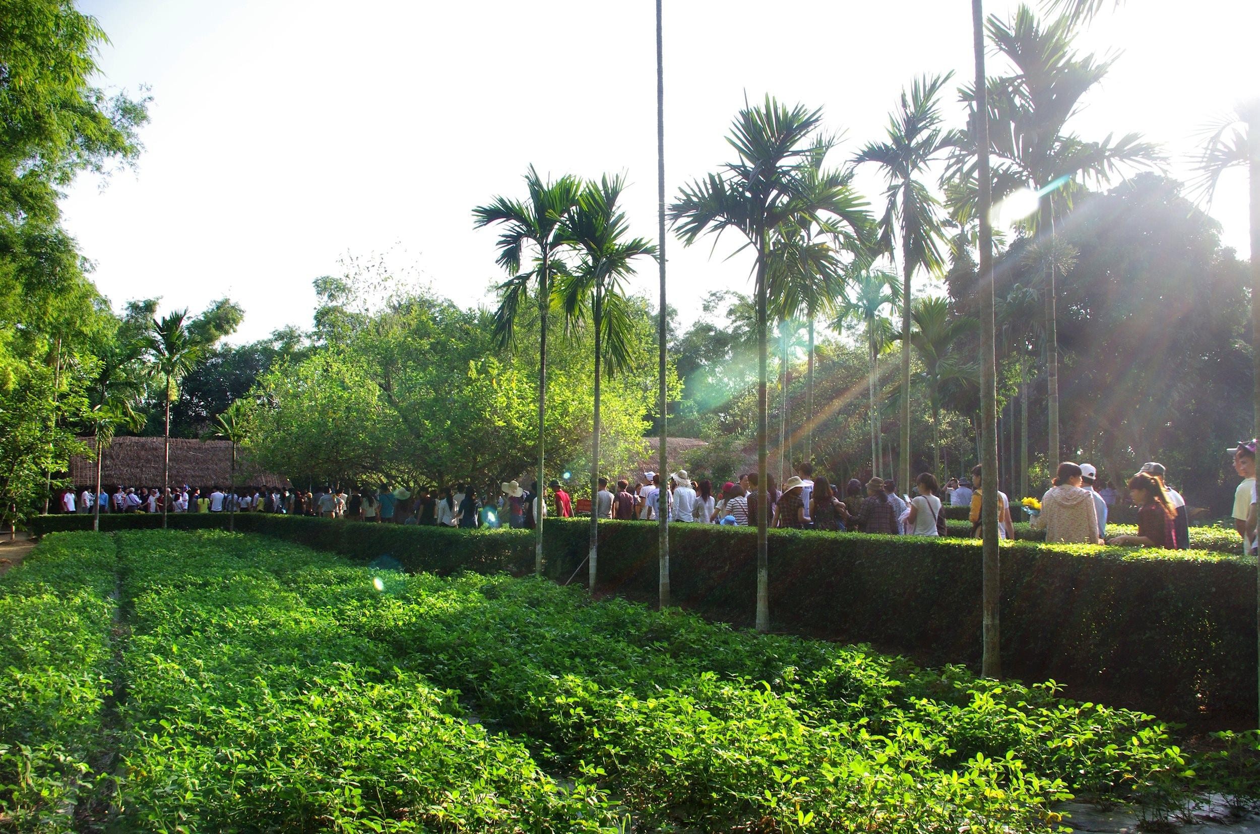 grabfeeef16du-khach-ve-tham-que-huong-chu-tich-ho-chi-minh-1779067847.jpg