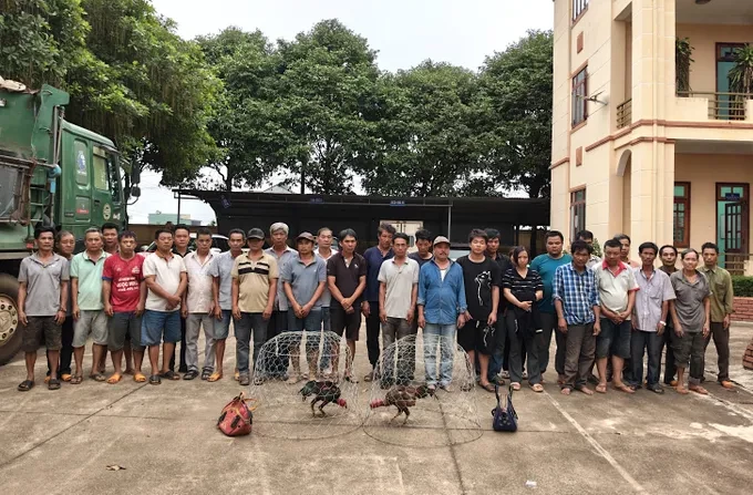 31-doi-tuong-bi-bat-giu-651-4102jpg-1781426646.webp
