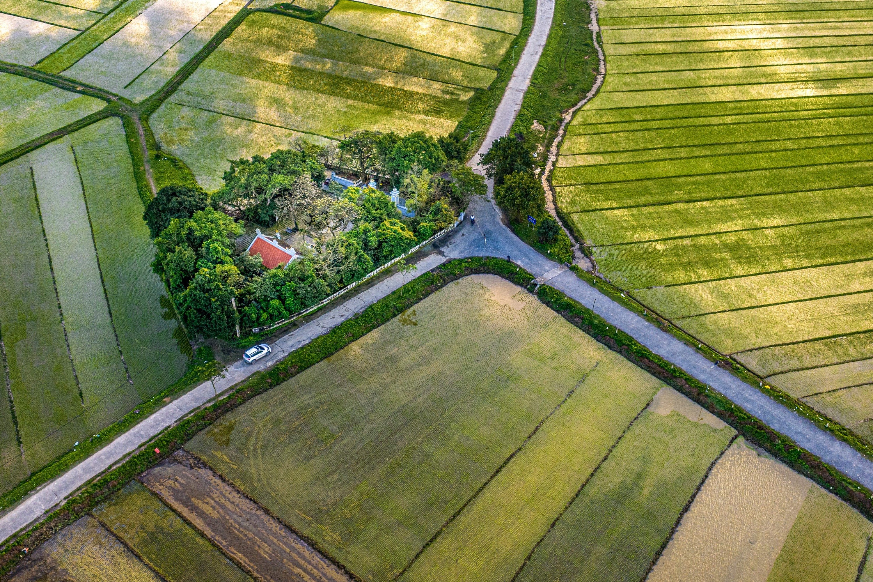 dji-0388hdrcopy2-1782698132.jpg