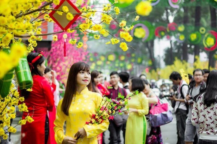 tet2-1733218991549354865214-1786180934.jpg