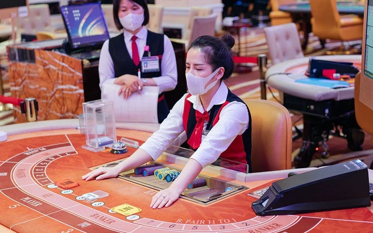 royal-halong-hotel-casino-07-17104261612291661451161-17262777461881115289024-1757382838560503977435-0-74-672-1149-crop-1757385334519414239185-1789014693.webp