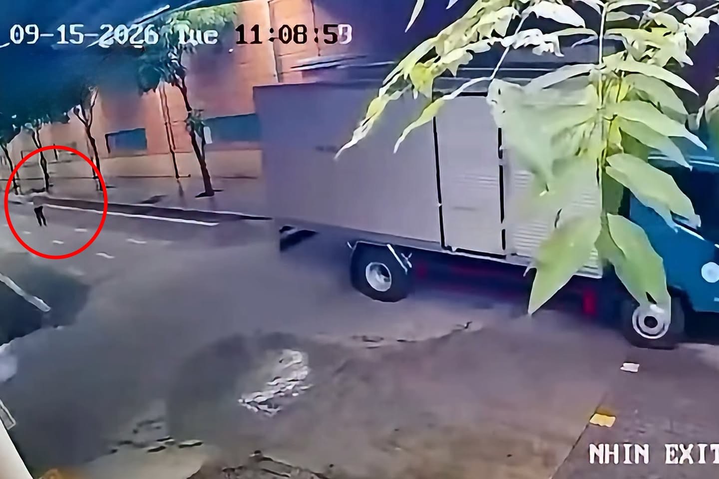 795609211-1801816557614847-8671673483807401894-n-1789535084.jpg