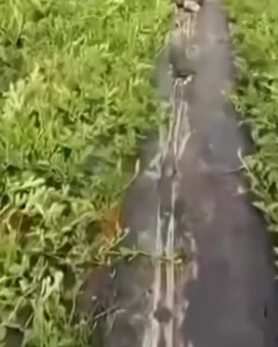 2026-0510-132942-1778396980.mp4