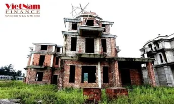 Hà Tĩnh: Đàn bò "đi dạo, nghỉ mát" trong ngôi trường được đầu tư gần 20 tỷ đồng