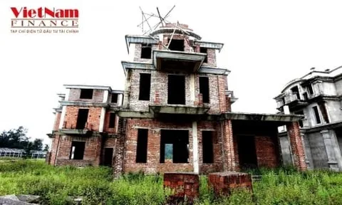 Hà Tĩnh: Đàn bò "đi dạo, nghỉ mát" trong ngôi trường được đầu tư gần 20 tỷ đồng