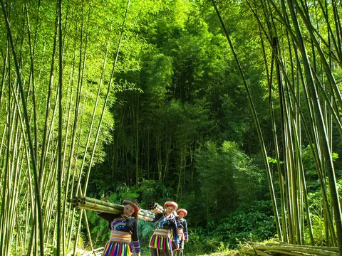 Thượng Minh - Vẻ đẹp nguyên sơ giữa miền sơn cước Thái Nguyên