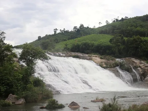 ERPA: Bảo vệ rừng, phát triển kinh tế xanh gắn với bảo tồn, gìn giữ bản sắc văn hóa truyền thống miền tây Nghệ An