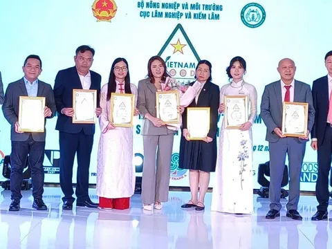 Góp phần nhận diện, khẳng định uy tín ngành gỗ Việt Nam