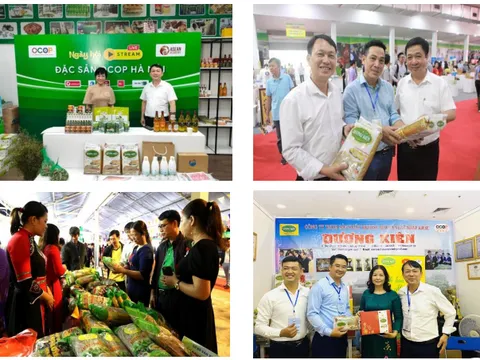 Giải bài toán thị hiếu cho sản phẩm OCOP bằng thiết kế sáng tạo