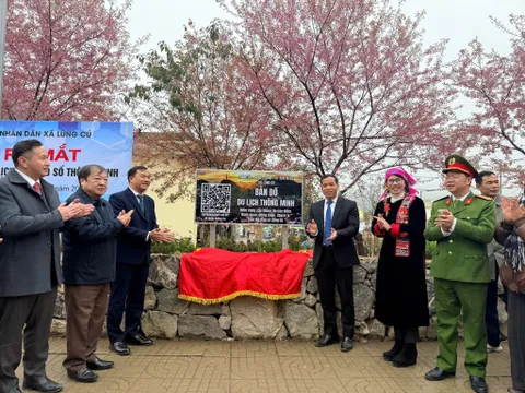 Tuyên Quang: Khai mạc Festival Hoa Mai anh đào 2026 ‘Lũng Cú – điểm hẹn muôn sắc hoa’