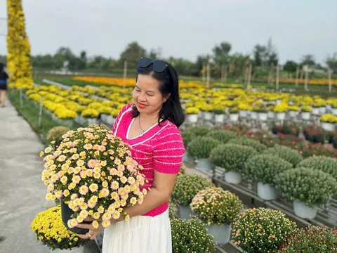 Đồng Tháp chỉ đạo đón Tết Nguyên đán Bính Ngọ vui tươi, lành mạnh