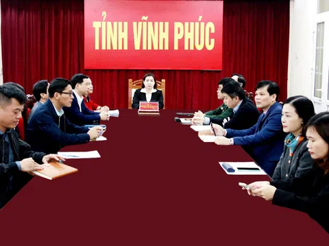 Hội nghị trực tuyến tổng kết công tác ngành Ngoại giao năm 2024