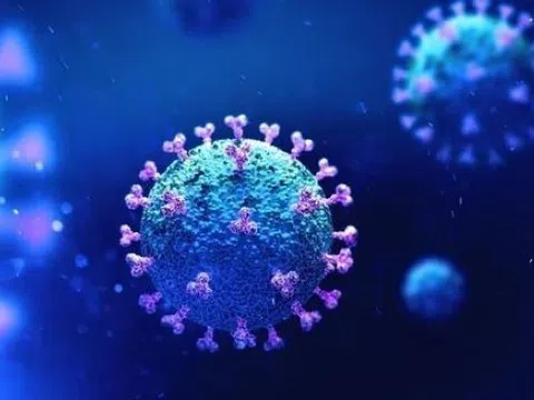 Virus đang lây lan bệnh hô hấp tại Trung Quốc có nguy hiểm như Covid-19?