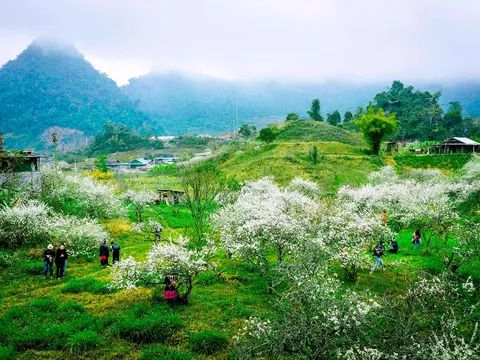 Những ‘điểm hẹn mùa Xuân’ ở Nghệ An