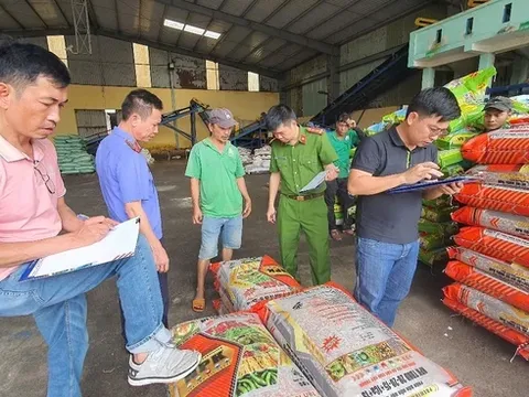 Vợ chồng doanh nhân sản xuất phân bón giả quy mô cực lớn