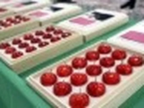 Đắt đỏ chưa từng thấy, 2 triệu đồng/kg cherry vẫn ‘cháy hàng’ ở chợ Tết Ất Tỵ