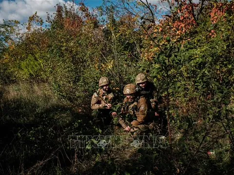 Ukraine lên tiếng về đề xuất giải quyết xung đột của Mỹ