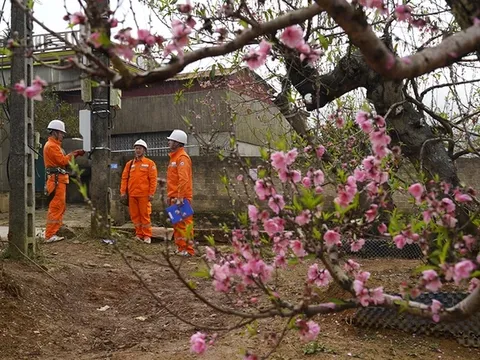 Tiêu thụ điện Tết Ất Tỵ 2025 có ngày giảm 50%, cắt giảm nhiều nguồn điện