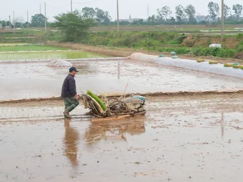 Hà Nội “chạy nước rút” chống hạn vụ Xuân