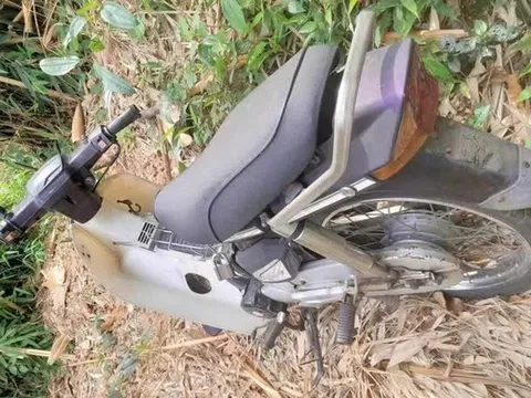 Phát hiện thi thể nam giới trong tư thế treo cổ, đang phân huỷ trong rừng