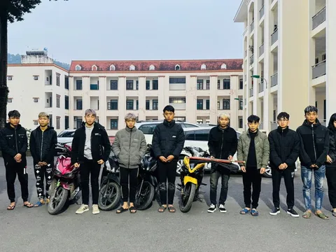 Vụ 3 người chết khi lái xe đâm vào gốc cây: Khởi tố vụ án, tạm giữ 13 đối tượng