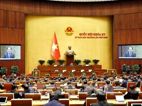 Kỳ họp bất thường lần thứ 9, Quốc hội khóa XV: Biểu quyết thông qua Luật Tổ chức Chính phủ (sửa đổi)