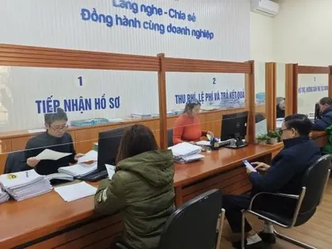 Hải Phòng quá tải hồ sơ xin đăng ký kinh doanh lĩnh vực giáo dục