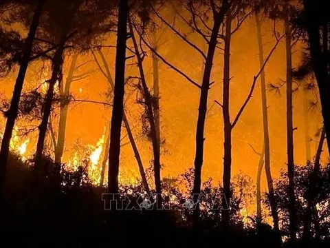 Nghệ An: Trên 400 người đang nỗ lực chữa cháy rừng trong đêm