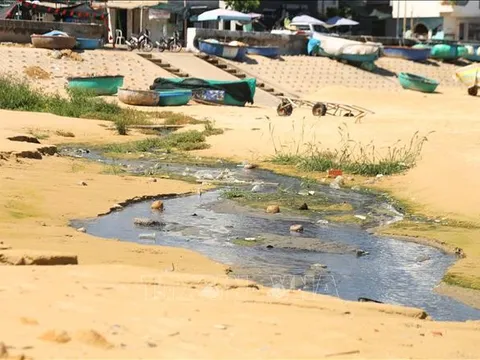 Gia Lai: Nước thải sinh hoạt chưa qua xử lý bức tử môi trường biển