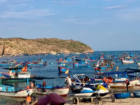 Bình Định: Cần tăng cường đảm bảo an toàn cho người dân và du khách trong mùa du lịch biển