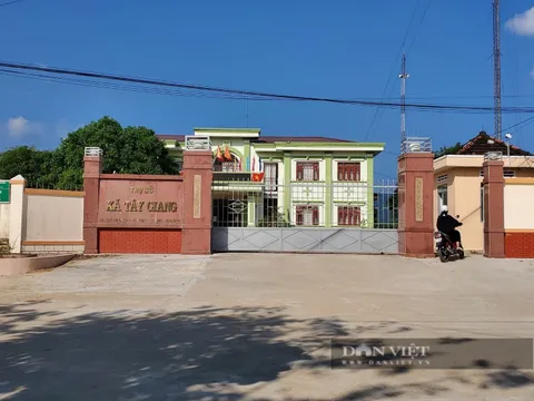 Bình Định: Buông lỏng quản lý khai thác khoáng sản một chủ tịch xã bị đình chỉ công tác