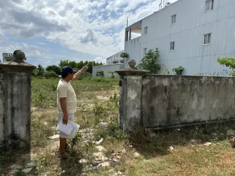 Gia Lai chỉ đạo nóng vụ biến đất công 50 tỷ thành đất “ông” xảy ra tại phường Quy Nhơn Nam