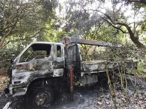 Xe tải gắn cẩu vướng dây điện, nam tài xế tử vong