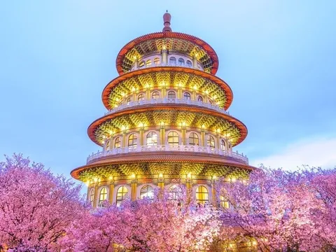 Thiên Nguyên Cung mùa hoa anh đào – bản giao hưởng xuân giữa núi và biển Đài Loan