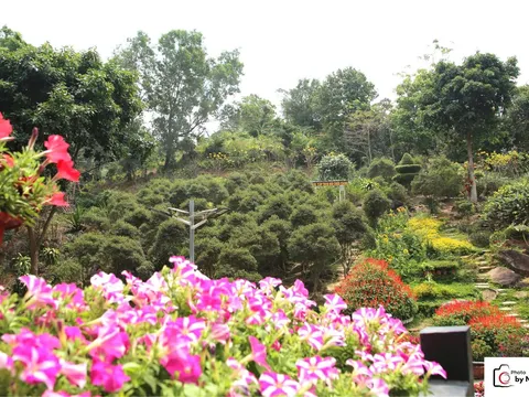 Một ngày đi chùa đầu năm ở Núi Chứa Chan: Bình yên giữa rừng và tiếng chuông chùa