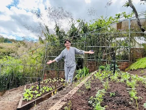 Cận cảnh biệt thự nghỉ dưỡng đẹp như mơ của MC Đại Nghĩa tại Đà Lạt: U50 ăn chay, sống độc thân bình yên giữa rừng thông