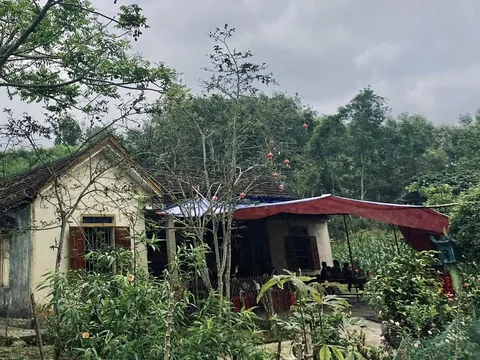 Ấm tình người: 200 triệu đồng giúp hai con ở Nghệ An đưa cha về quê