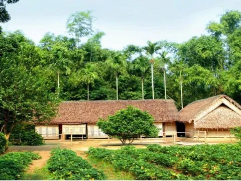 Nâng cao không gian đọc tại Khu di tích Kim Liên: Thư viện Nghệ An hướng dẫn nghiệp vụ và sắp xếp tủ sách năm 2026