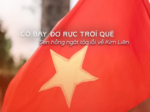 Cờ bay đỏ thắm quê hương, sen hồng dẫn lối về Kim Liên